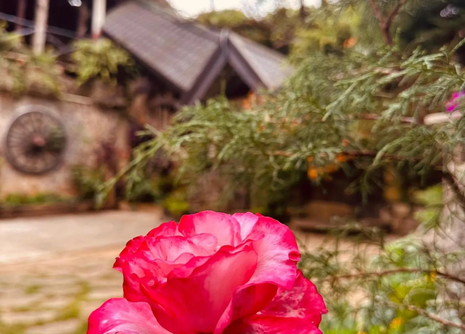 Villa 47 Nuwaraeliya Nuwara Eliya